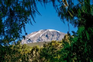 Aufnahme des Kilimandscharo aus dem Regenwald