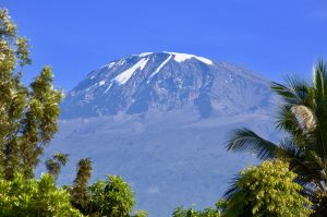 Aufnahme des Kilimandscharo aus dem Regenwald