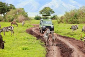Safari in Ngorongoro Crater in Tanzania