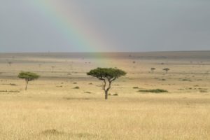 Regenbogen_Maasai Mara