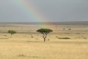 arc-en-ciel sur le Maasai mara Kenya