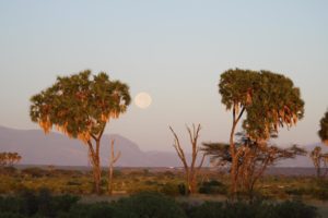 sunrise in samburu