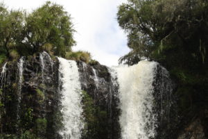 Sheldrick Wasserfälle