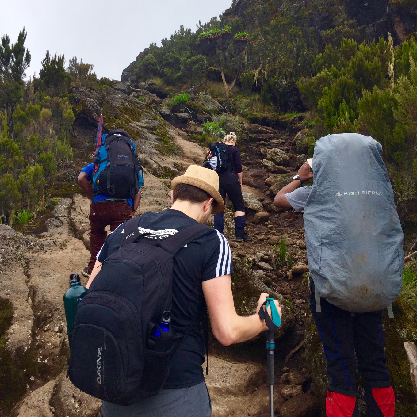 Hike together along Machame Route
