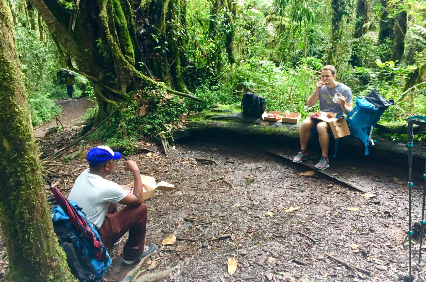 Lunch along Machame Route