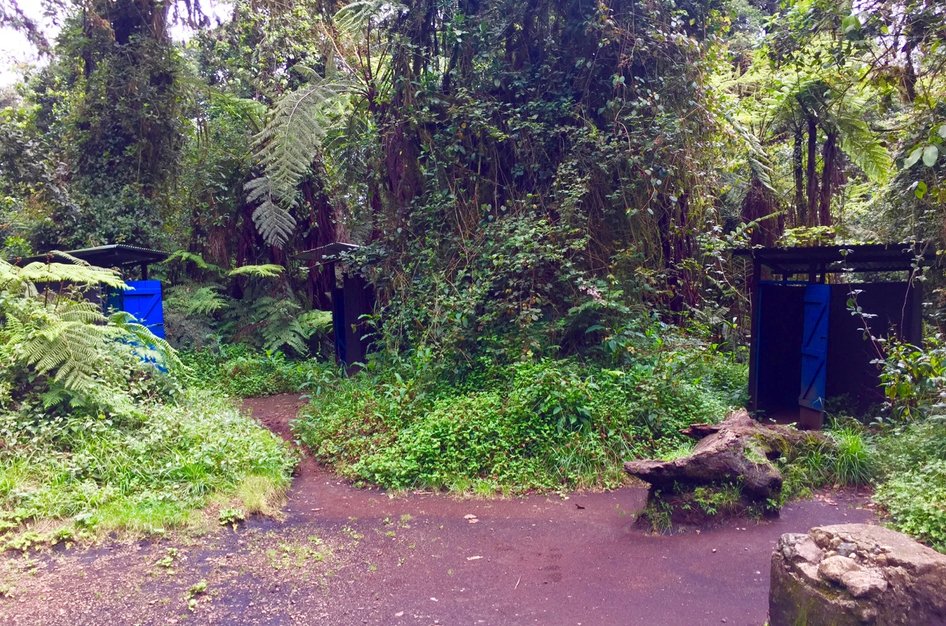 Toilets along Machame Route