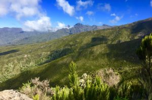 Blick aufs Moorland während der Besteigung