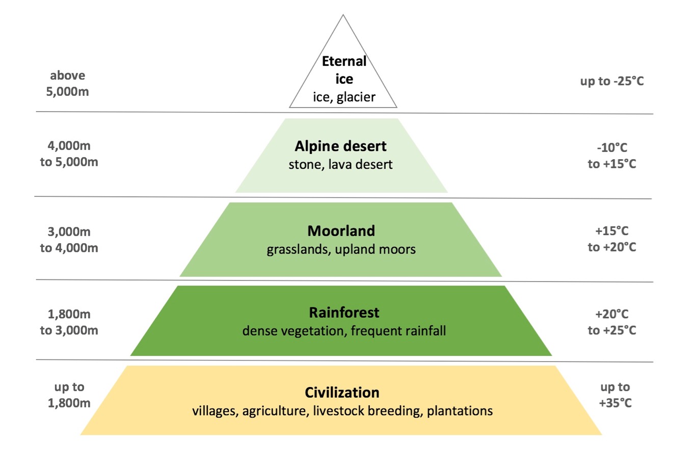  Types Of Vegetation 4 2019 01 14