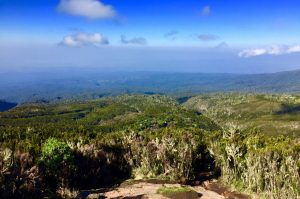 Zones de végétation Kilimandjaro les landes