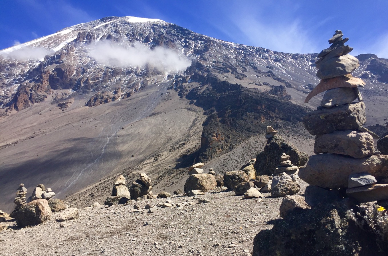 Zones de végétation Kilimandjaro désert de pierres