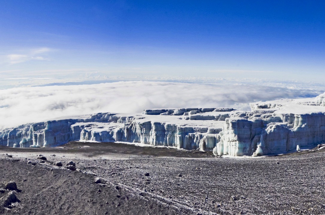 Zones de végétation Kilimandjaro neige éternelle