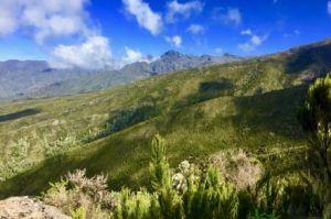 View into the country from the Machame Route