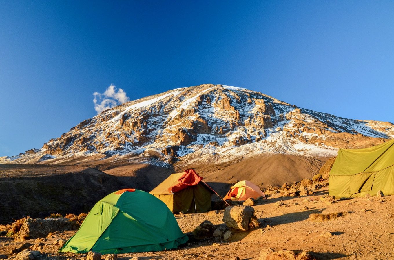 Vue du Kilimandjaro depuis un camp avec des tentes