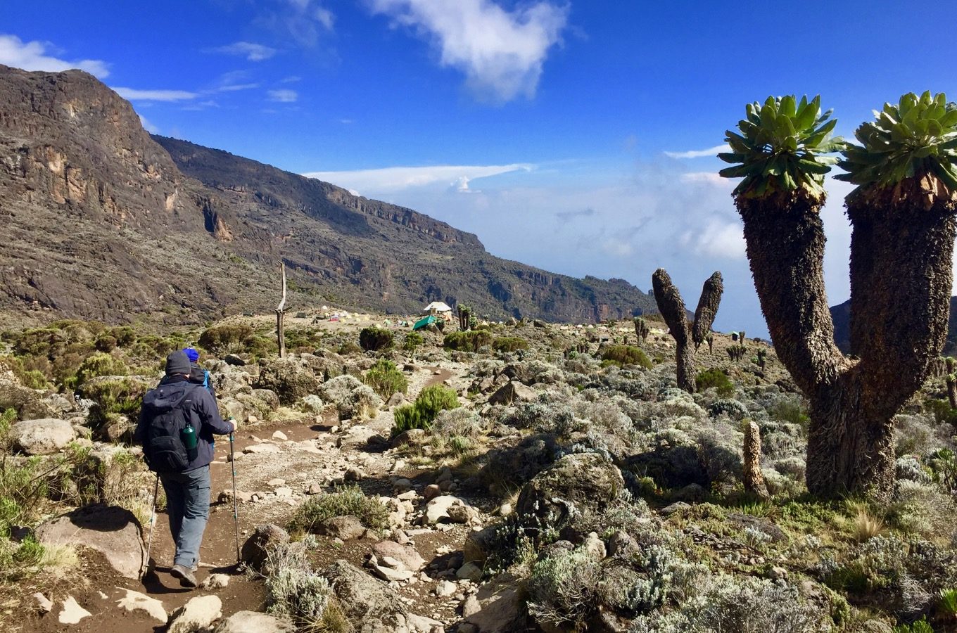 View into the country from the Machame Route