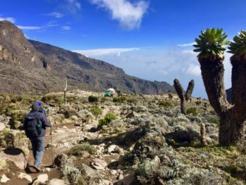 View into the country from the Machame Route