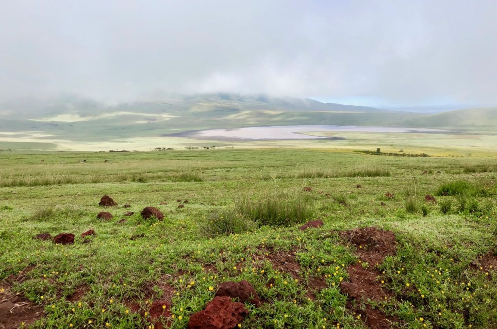Die Landschaft des Ngorongoro Conservation Area am frühen Morgen