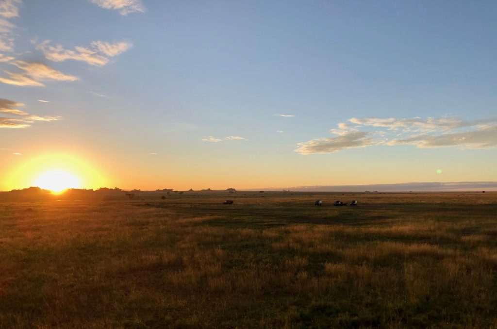 Lever du soleil sur le Serengeti