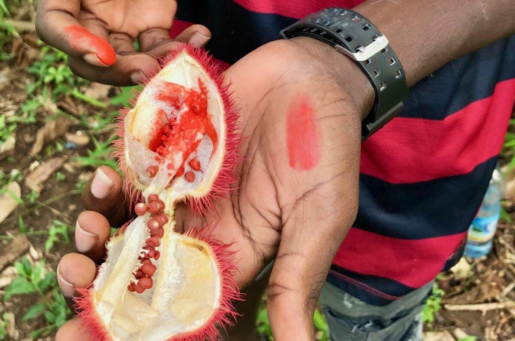 Nous découvrons des fruits exotiques et des épices lors d'un tour épicé sur Zanzibar