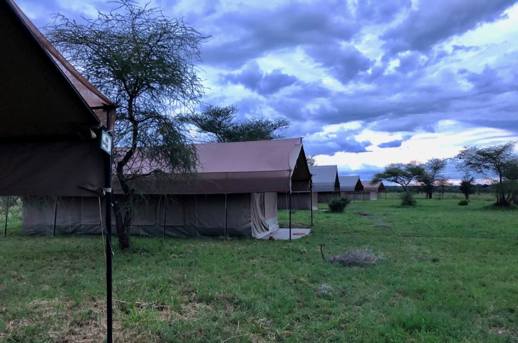 Le camp de l'arbre à épines du Serengeti au crépuscule