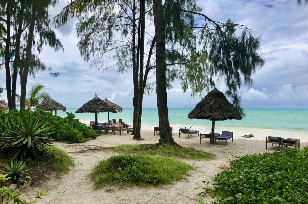 Beach of Zanzibar with sunshades