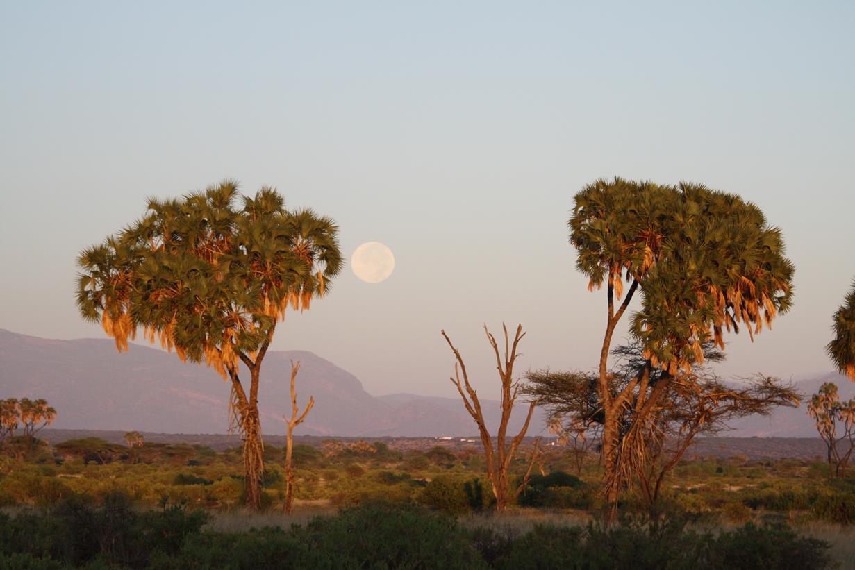 lever du soleil au samburu